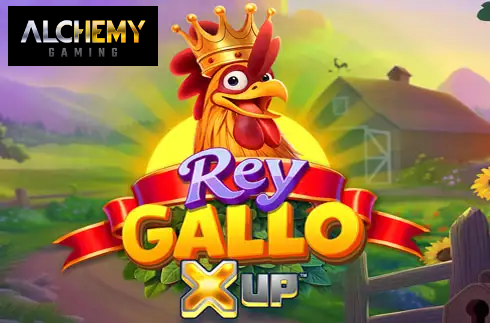 Rey Gallo X UP